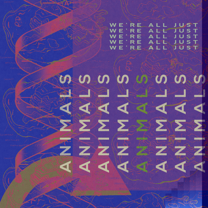 Graphic 2